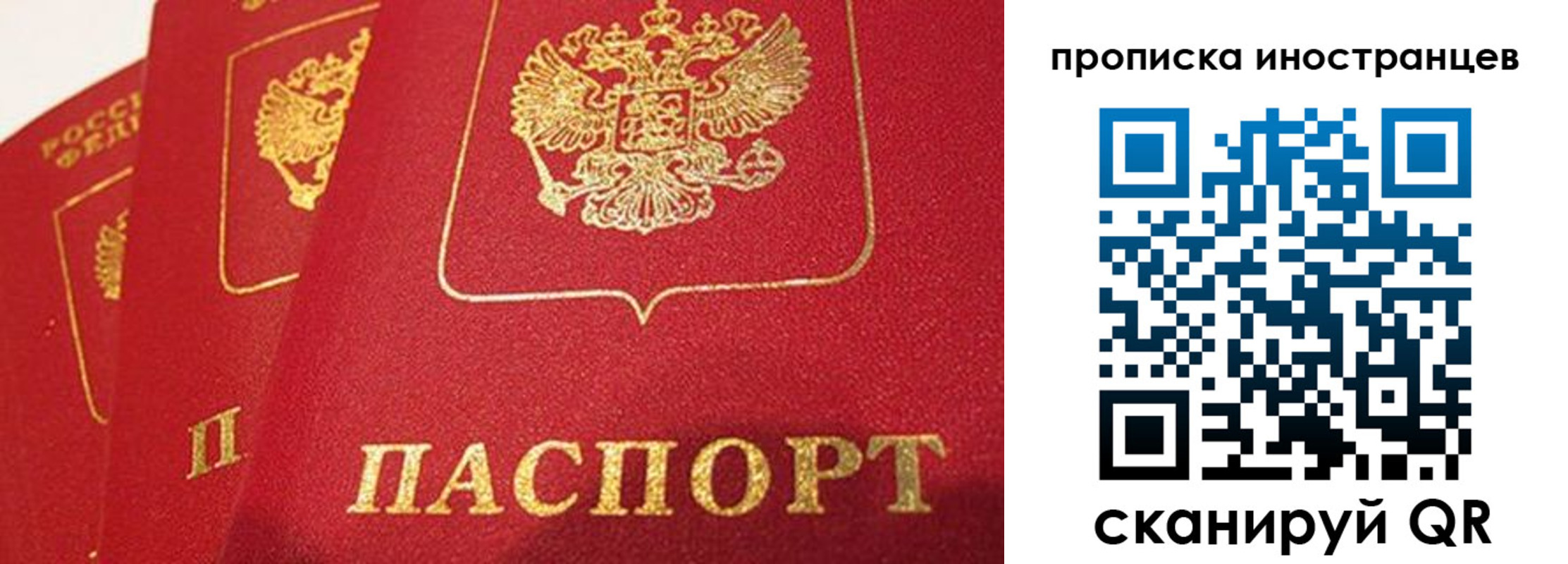 прописка поиск в Адыгее